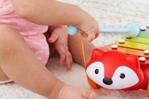 Musical & Crawling Toys